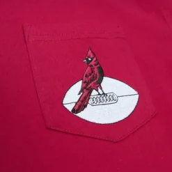 Premium Pocket Tee Arizona Cardinals