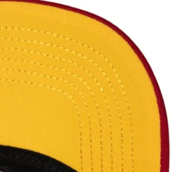 Puff The Magic Trucker Snapback Hwc Atlanta Hawks