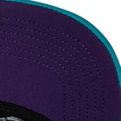Puff The Magic Trucker Snapback Hwc Charlotte Hornets