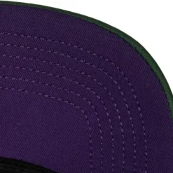 Puff The Magic Trucker Snapback Hwc Milwaukee Bucks