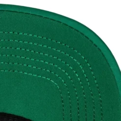 Puff The Magic Trucker Snapback Hwc Boston Celtics