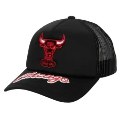 Puff The Magic Trucker Snapback Hwc Chicago Bulls