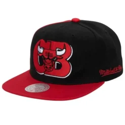 Rear Script Deadstock Snapback Chicago Bulls