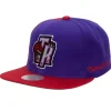 Rear Script Deadstock Snapback Hwc Toronto Raptors