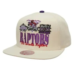 Reframe Retro Snapback Hwc Toronto Raptors