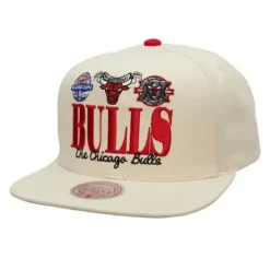 Reframe Retro Snapback Hwc Chicago Bulls