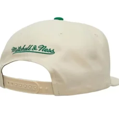 Reframe Retro Snapback Hwc Boston Celtics