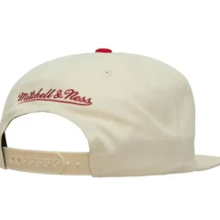 Reframe Retro Snapback San Francisco 49Ers