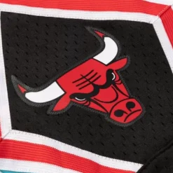 Reload Swingman Chicago Bulls 1995-96 Shorts
