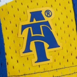 Replica North Carolina A&T University 2012 Shorts