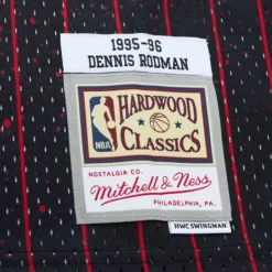 Re-Take Swingman Dennis Rodman Chicago Bulls 1995-96 Jersey