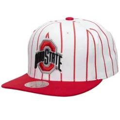 Retro Pinstripe Snapback Ohio State
