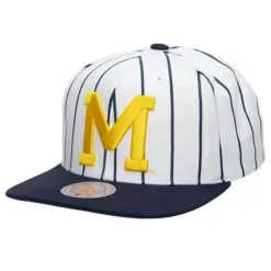 Retro Pinstripe Snapback University Of Michigan
