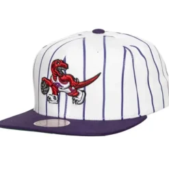 Retro Pinstripe Snapback Hwc Toronto Raptors