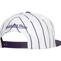 Retro Pinstripe Snapback Hwc Toronto Raptors