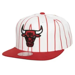 Retro Pinstripe Snapback Chicago Bulls