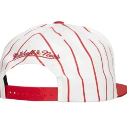 Retro Pinstripe Snapback Chicago Bulls