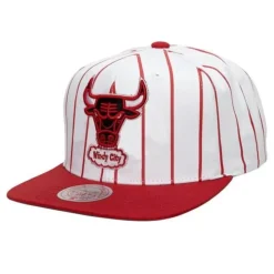 Retro Pinstripe Snapback Hwc Chicago Bulls