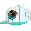 Retro Pinstripe Snapback Hwc Vancouver Grizzlies