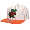 Retro Pinstripe Snapback University Of Florida