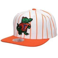 Retro Pinstripe Snapback University Of Florida