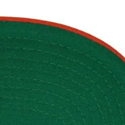 Retro Pinstripe Snapback University Of Florida