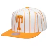 Retro Pinstripe Snapback University Of Tennessee