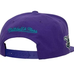Retro Sport Snapback Hwc Charlotte Hornets