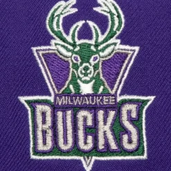 Retro Sport Snapback Hwc Milwaukee Bucks
