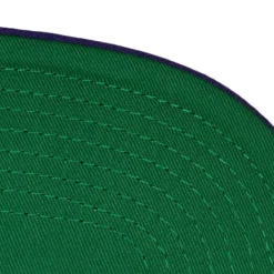 Retro Sport Snapback Hwc Milwaukee Bucks