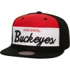 Retro Sport Snapback Ohio State