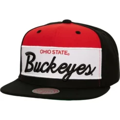 Retro Sport Snapback Ohio State