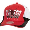 Retrodome Pro Snapback Chicago Bulls