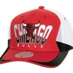 Retrodome Pro Snapback Chicago Bulls