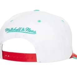 Retrodome Pro Snapback Hwc Vancouver Grizzlies