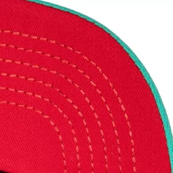 Retrodome Pro Snapback Hwc Vancouver Grizzlies