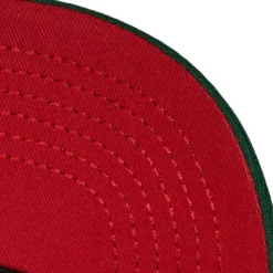Retrodome Pro Snapback Minnesota Wild
