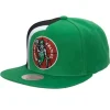 Retroline Snapback Hwc Boston Celtics