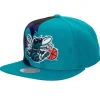 Retroline Snapback Hwc Charlotte Hornets