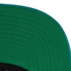 Retroline Snapback Hwc Charlotte Hornets