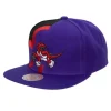 Retroline Snapback Hwc Toronto Raptors