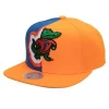 Retroline Snapback University Of Florida