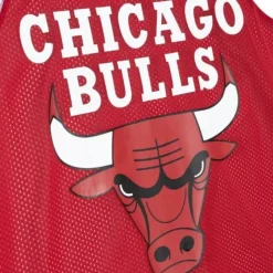Reversible Mesh Tank Chicago Bulls