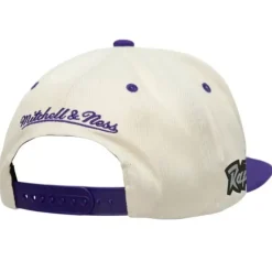 Sail 2 Tone Snapback Hwc Toronto Raptors