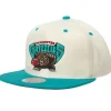 Sail 2 Tone Snapback Hwc Vancouver Grizzlies