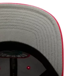 Santa Ana 2-Tone Snapback Charlotte Hornets