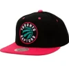 Santa Ana 2-Tone Snapback Toronto Raptors