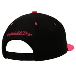 Santa Ana 2-Tone Snapback Toronto Raptors