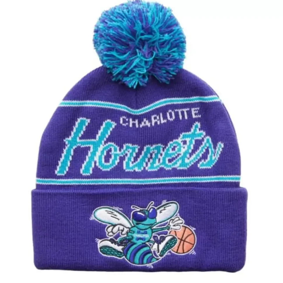 Script Pom Beanie Hwc Charlotte Hornets