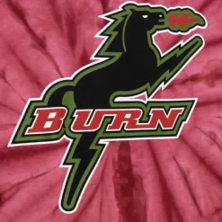 Script Tee Dallas Burn